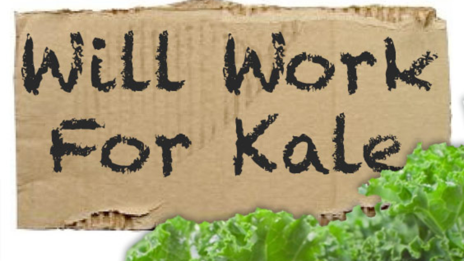 kale vegetable